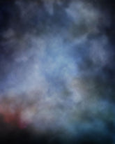 Aperturee - Old Master Peacock Theme Photo Backdrop For Portrait